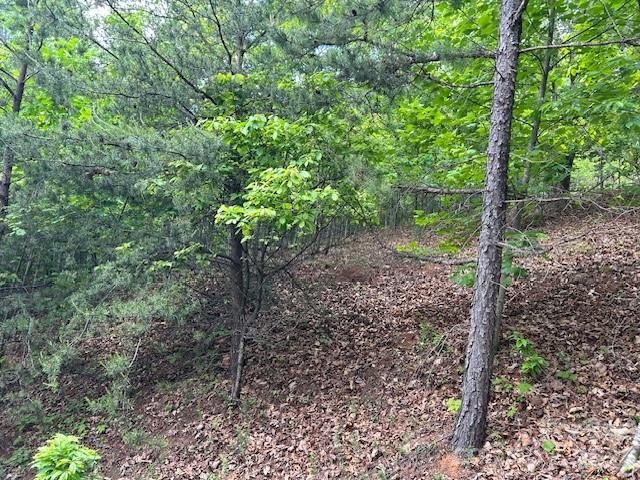 0 Azule Ridge, Bostic, NC 28018