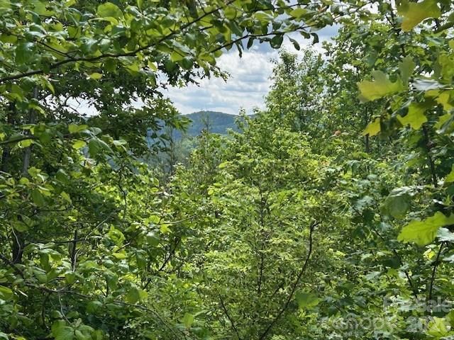0 Azule Ridge, Bostic, NC 28018