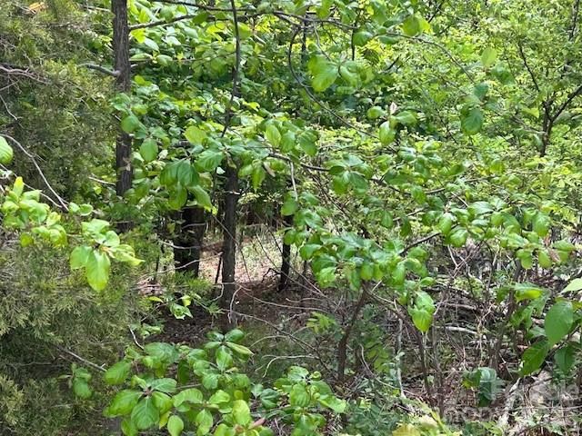 0 Azule Ridge, Bostic, NC 28018