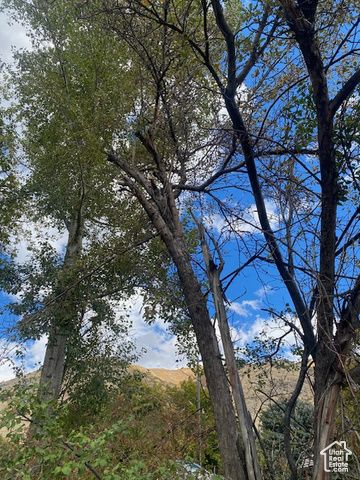 63 N 1440 E, Springville, UT 84663