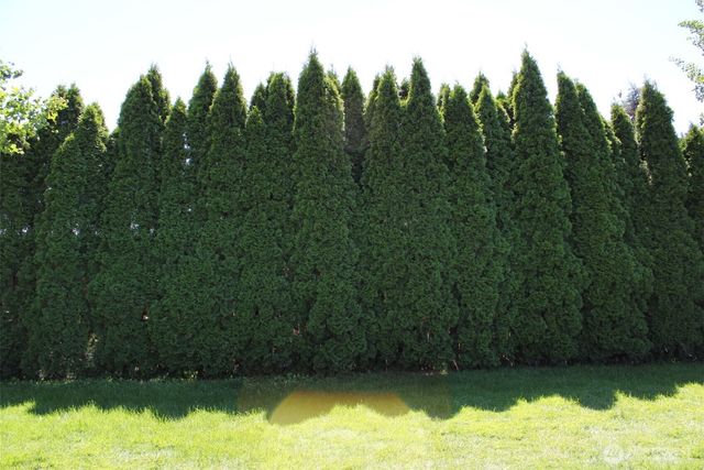 1415 Cherry St, Oroville, WA 98844