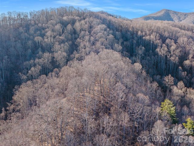 00 Lotties Creek Road, Burnsville, NC 28714