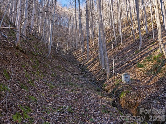 00 Lotties Creek Road, Burnsville, NC 28714