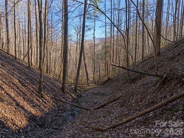 00 Lotties Creek Road, Burnsville, NC 28714