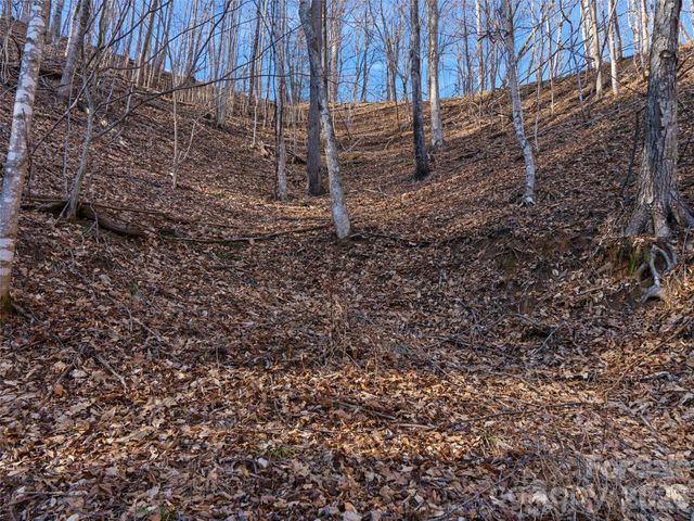00 Lotties Creek Road, Burnsville, NC 28714