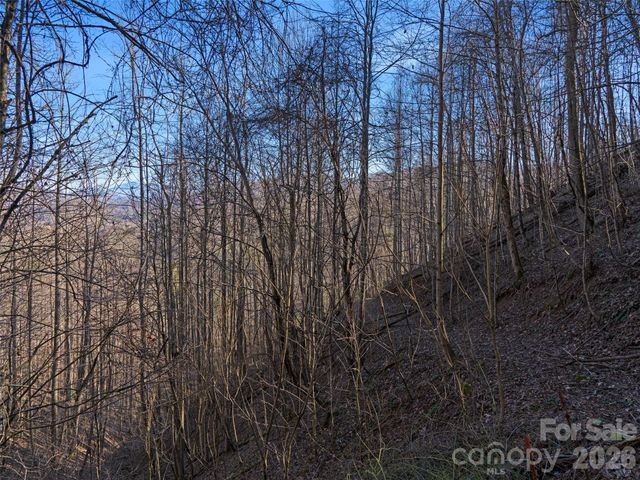00 Lotties Creek Road, Burnsville, NC 28714
