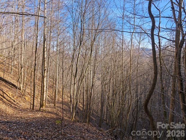 00 Lotties Creek Road, Burnsville, NC 28714