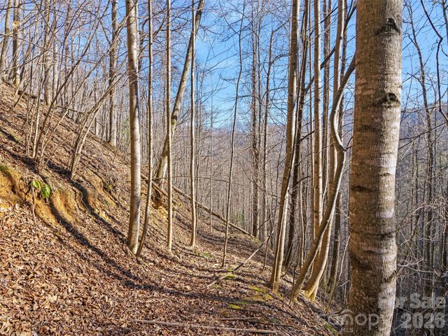 00 Lotties Creek Road, Burnsville, NC 28714