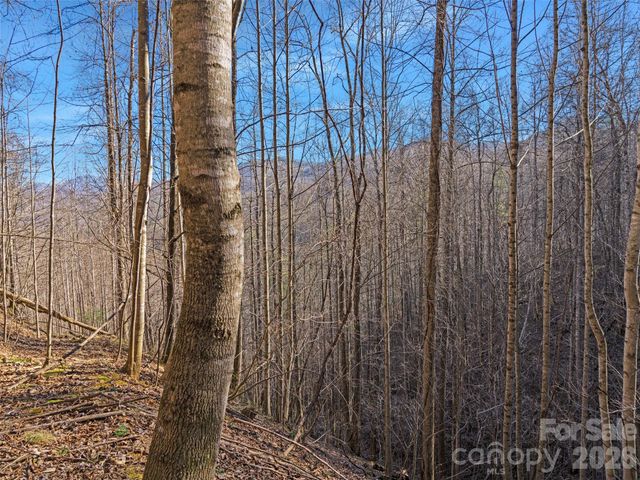 00 Lotties Creek Road, Burnsville, NC 28714