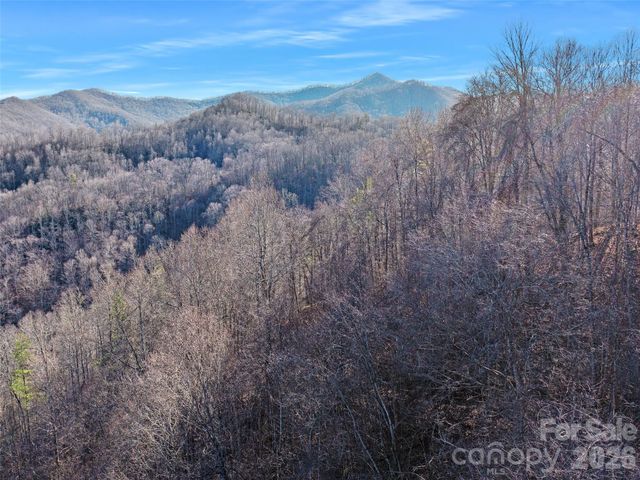 00 Lotties Creek Road, Burnsville, NC 28714