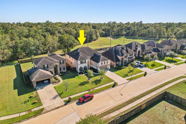 10919 Gallant Flag Drive, Tomball, TX 77375