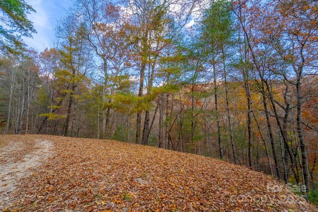 Lot 24 Rivers Edge Road, Franklin, NC 28734