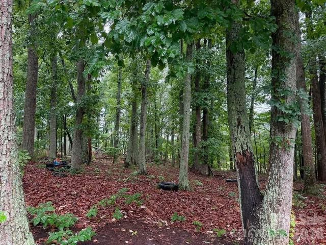 1132 S Rutherford Street, Blacksburg, SC 29702