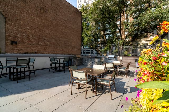 21 W Goethe Street 5G, Chicago, IL 60610