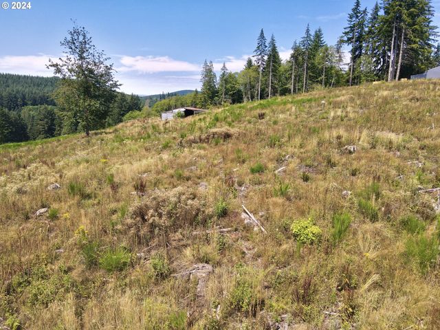75160 Lost Creek Rd, Clatskanie, OR 97016