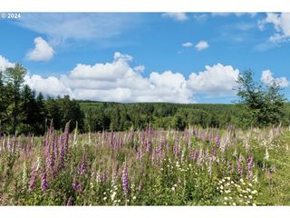 75160 Lost Creek Rd, Clatskanie, OR 97016