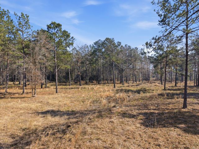 8576 Us- Hwy 190 W, Livingston, TX 77351
