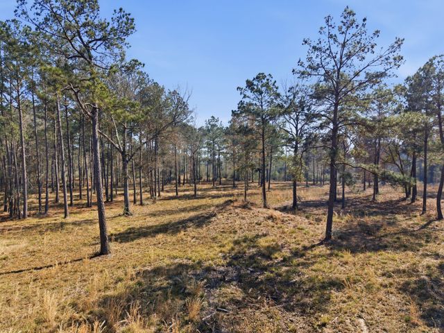 8576 Us- Hwy 190 W, Livingston, TX 77351