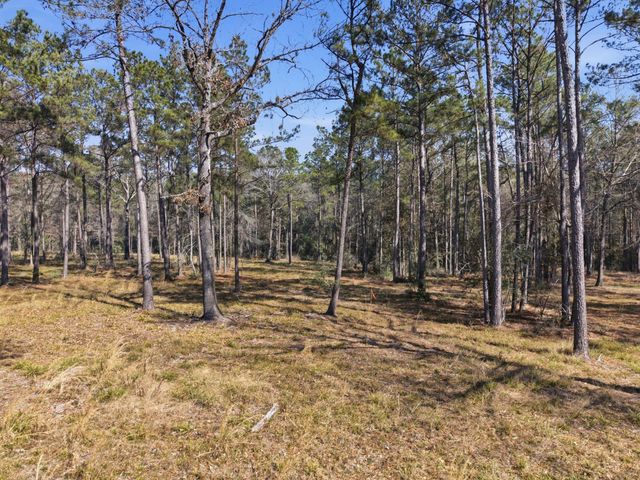 8576 Us- Hwy 190 W, Livingston, TX 77351