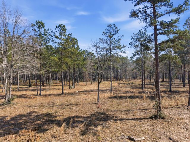 8576 Us- Hwy 190 W, Livingston, TX 77351