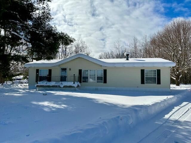 3131 S 164th Avenue, Hesperia, MI 49421