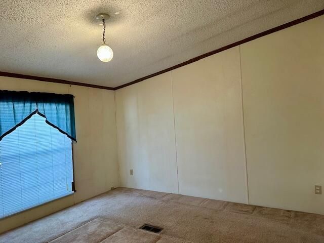 3131 S 164th Avenue, Hesperia, MI 49421