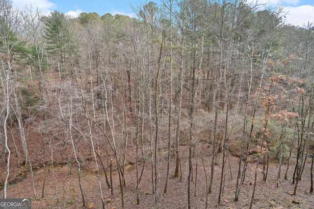 677 Catawba Circle, Ellijay, GA 30540