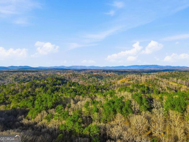 677 Catawba Circle, Ellijay, GA 30540