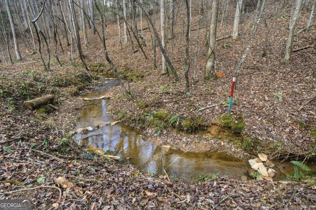 677 Catawba Circle, Ellijay, GA 30540