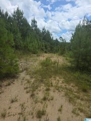 001 COUNTY ROAD 256, Clanton, AL 35045