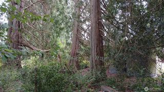 0 127th Avenue NE, Arlington, WA 98223