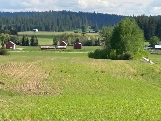 46XX Bittrich-Antler Rd, Deer Park, WA 99006