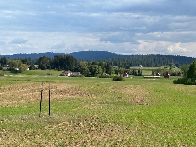 46XX Bittrich-Antler Rd, Deer Park, WA 99006