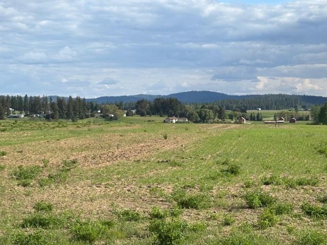 46XX Bittrich-Antler Rd, Deer Park, WA 99006