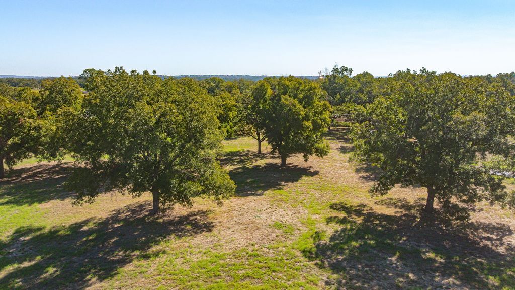 1650 Old Tin Top Road, Weatherford, TX 78087 — photo 5