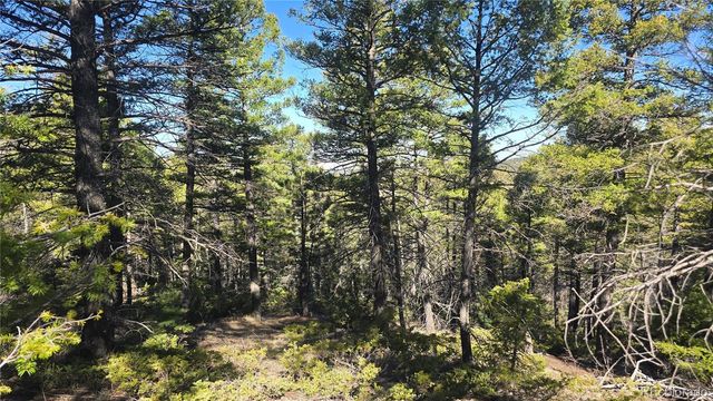 Lot 6034 Wood Road, San Luis, CO 81152