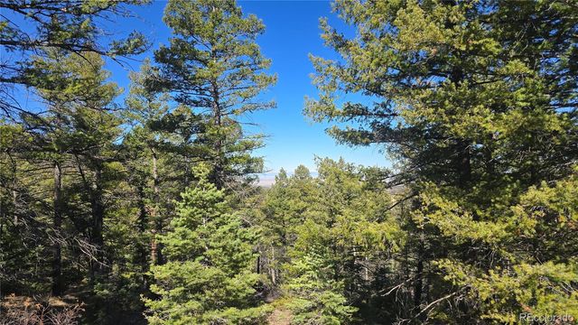 Lot 6034 Wood Road, San Luis, CO 81152