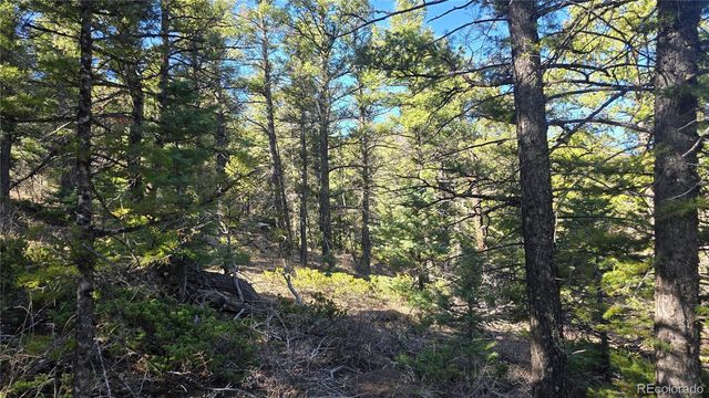 Lot 6034 Wood Road, San Luis, CO 81152