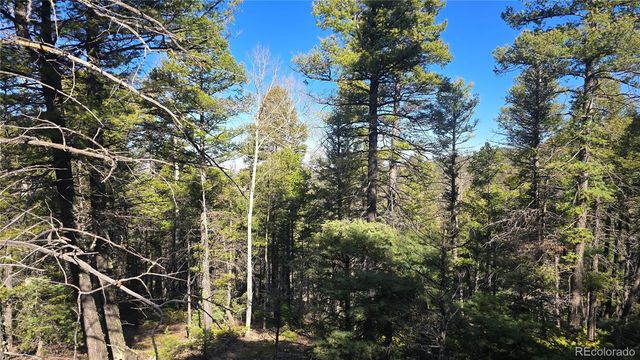 Lot 6034 Wood Road, San Luis, CO 81152