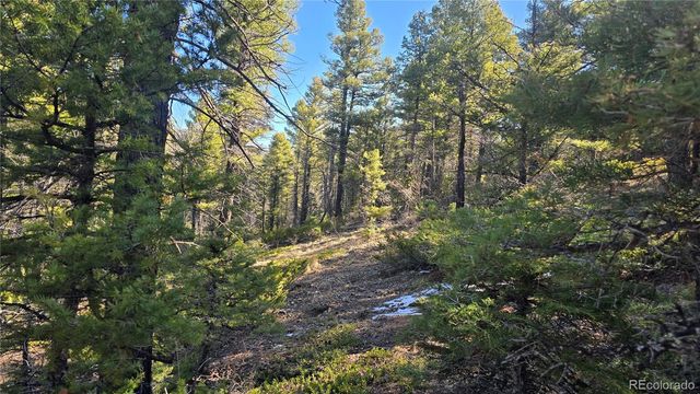 Lot 6034 Wood Road, San Luis, CO 81152