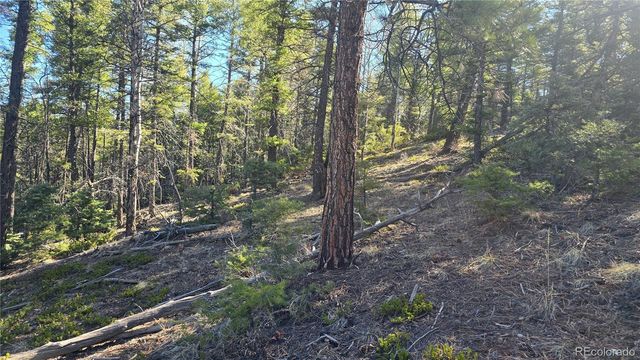Lot 6034 Wood Road, San Luis, CO 81152