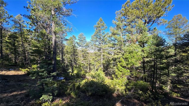 Lot 6034 Wood Road, San Luis, CO 81152