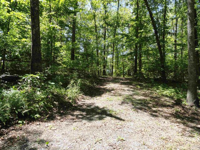 864 Spirit Drive, Saint Joe, AR 72675