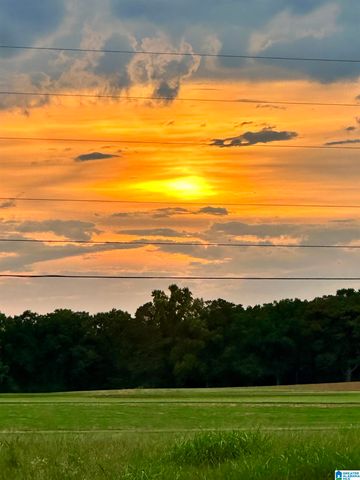 301 OLD LOKEY FERRY ROAD, Wilsonville, AL 35186