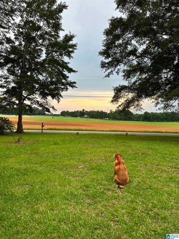 301 OLD LOKEY FERRY ROAD, Wilsonville, AL 35186