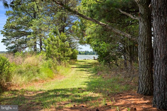 22101 GRAFTON MANOUR LN, Wittman, MD 21676