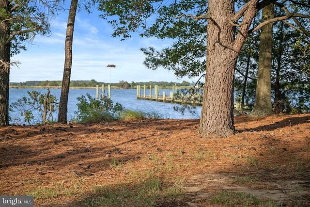 22101 GRAFTON MANOUR LN, Wittman, MD 21676
