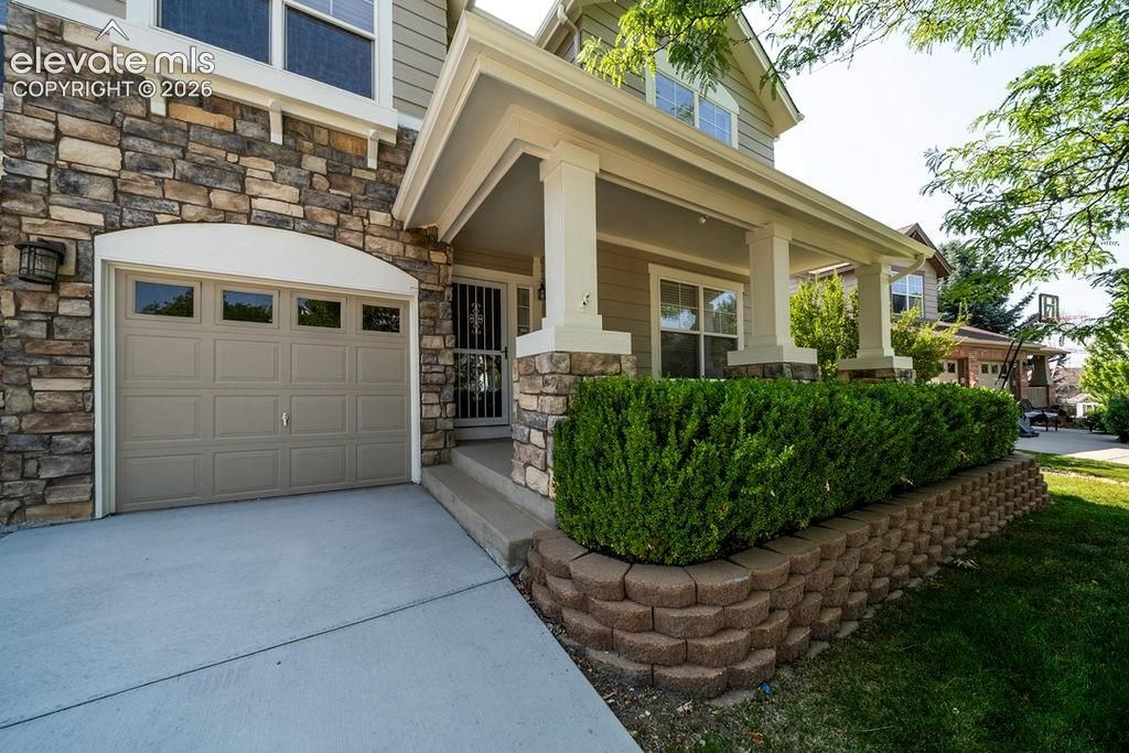 4465 Charing Drive, Castle Rock, CO 80109 — photo 4