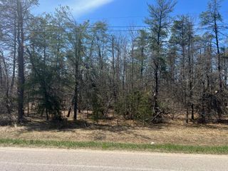 Wilcox Bridge Road, Parcel A, Grayling, MI 49738