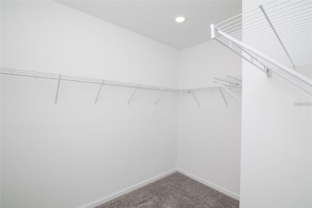 3103 MINDFULLNESS DRIVE, Clermont, FL 34714